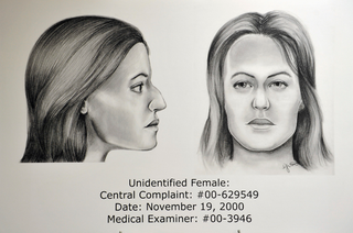 Illustration for article titled Police Release New Details On NY Serial Killings